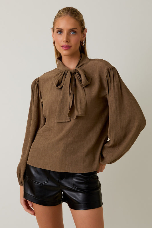 Long Sleeve Front Neck Tie Blouse